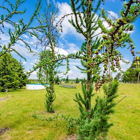 Pension Zum Reiterhof Schmogrow Extérieur photo