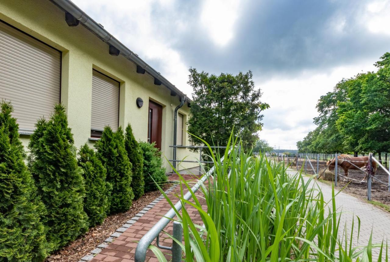 Pension Zum Reiterhof Schmogrow Extérieur photo