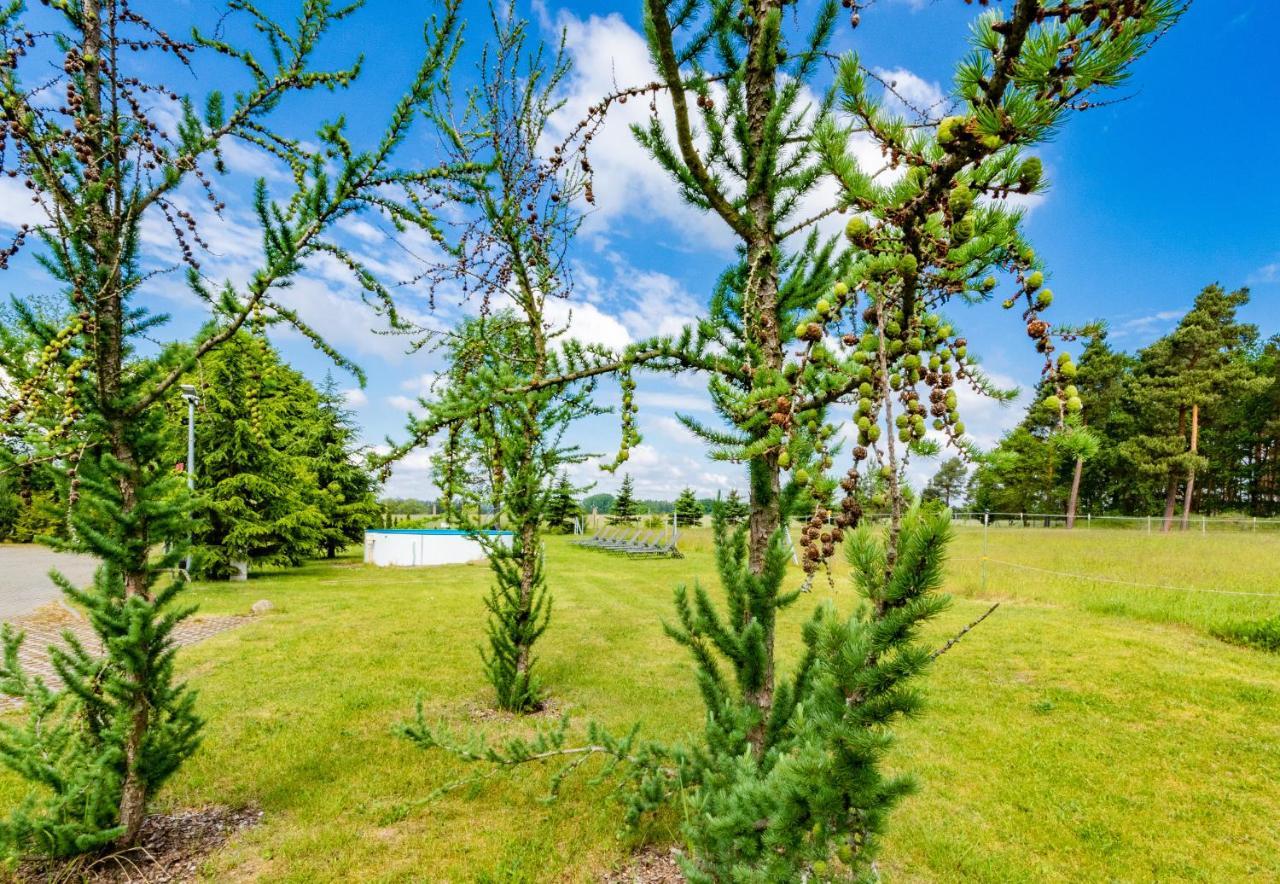 Pension Zum Reiterhof Schmogrow Extérieur photo